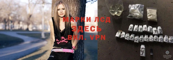 индика Белоозёрский