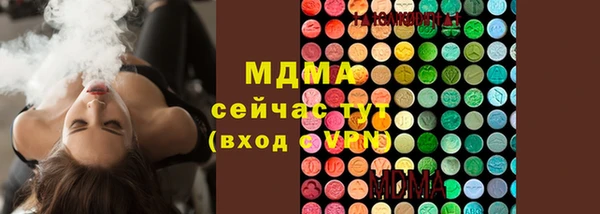 индика Белоозёрский