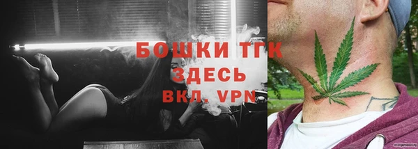 индика Белоозёрский