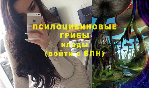 индика Белоозёрский