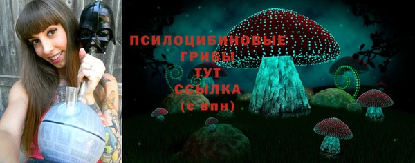 метамфетамин Белокуриха