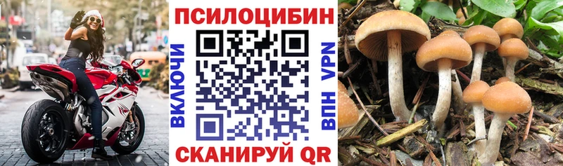 hydra как войти  Няндома  Псилоцибиновые грибы мухоморы 